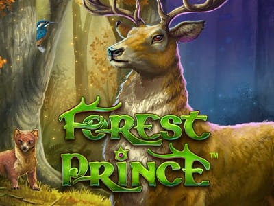 Forest Prince screenshot